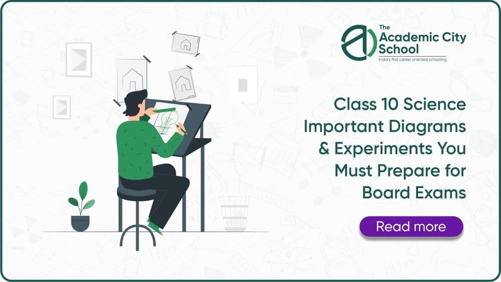 Class 10 Science Important Diagrams & Experiments You Must Prepare for Board Exams