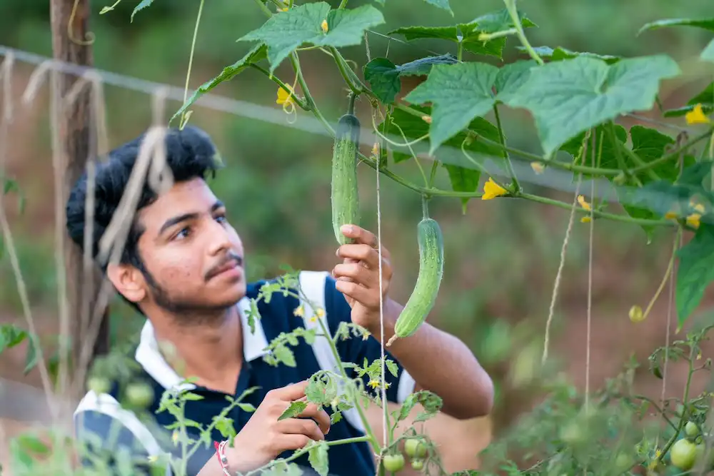 farming