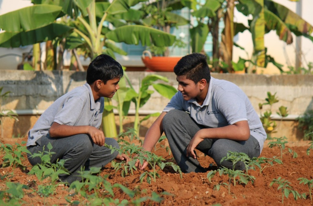 Students working in the school garden at TACS