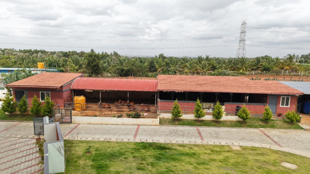Goshala and campus farm at TACS